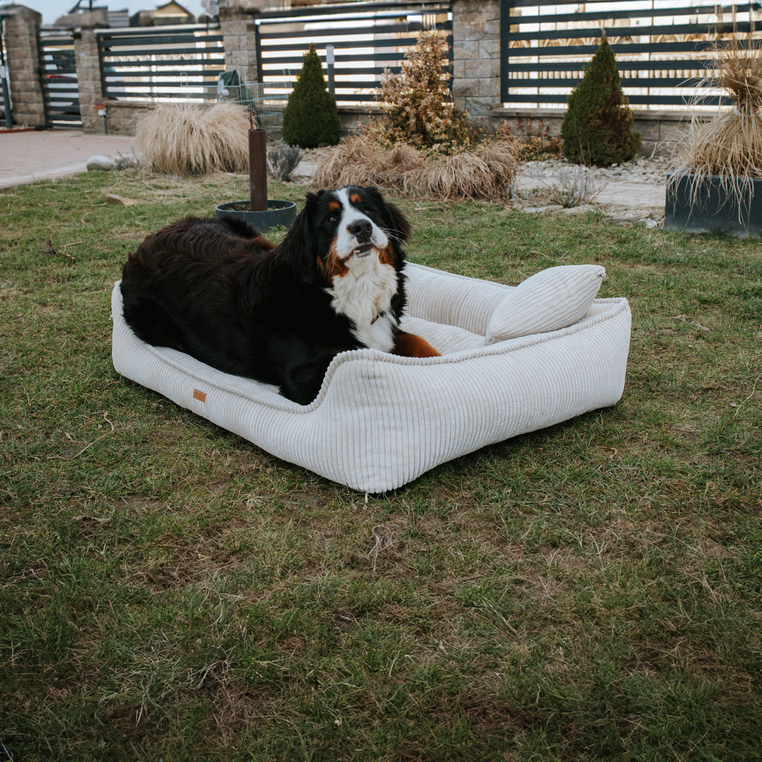 legowisko dla psa denzoo